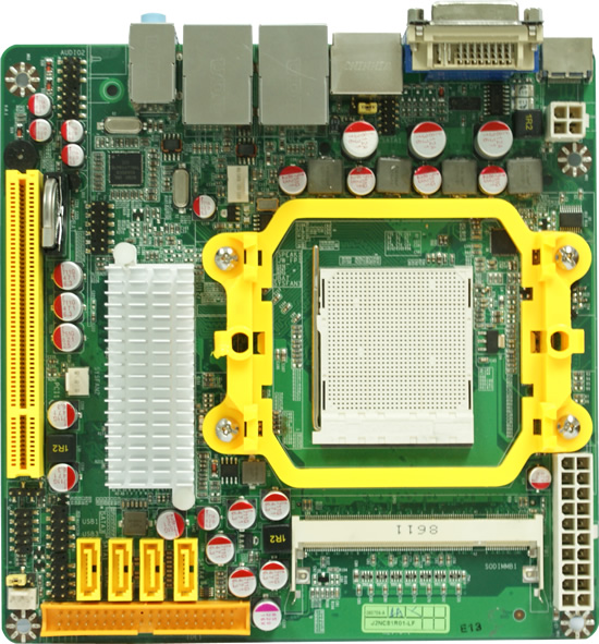 NC81-LF
