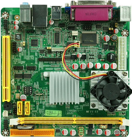 NF77-N1G6-LF